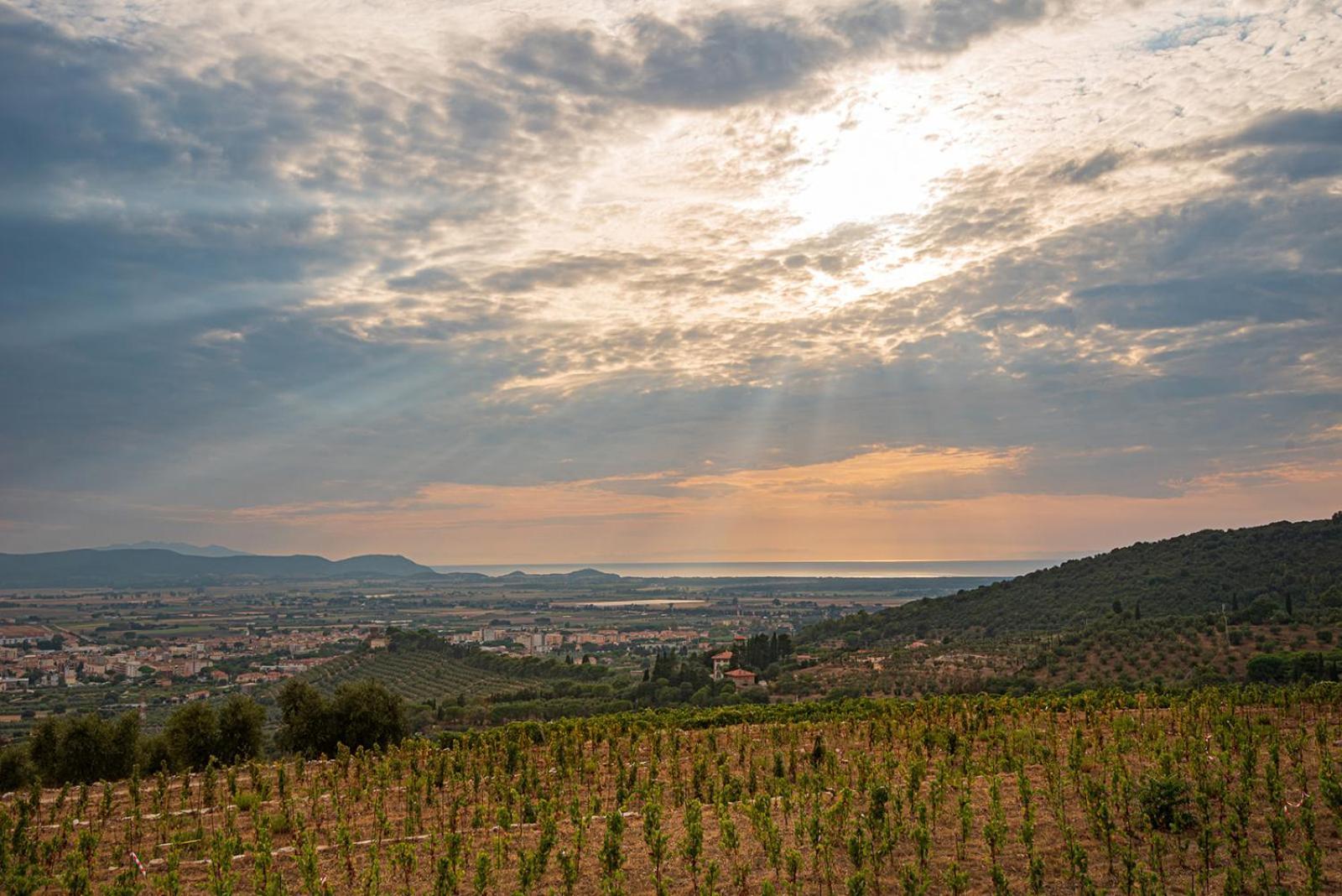 Castello Bonaria Wine & Spa Resort Campiglia Marittima Εξωτερικό φωτογραφία